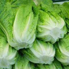 Incluye las ensaladas de lechuga en tu dieta